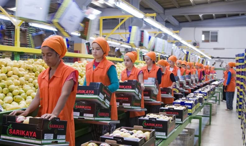 Başarılı Genişleme: FF Supply Chain BV
